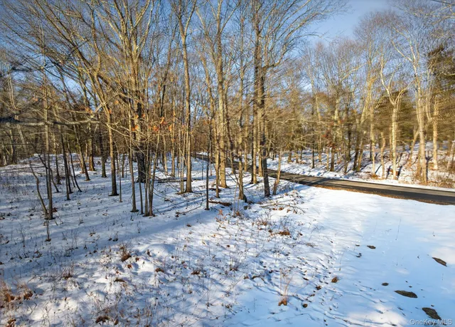 $549,000 | Tbd Hicks Hill Road, Hurley, NY 12401