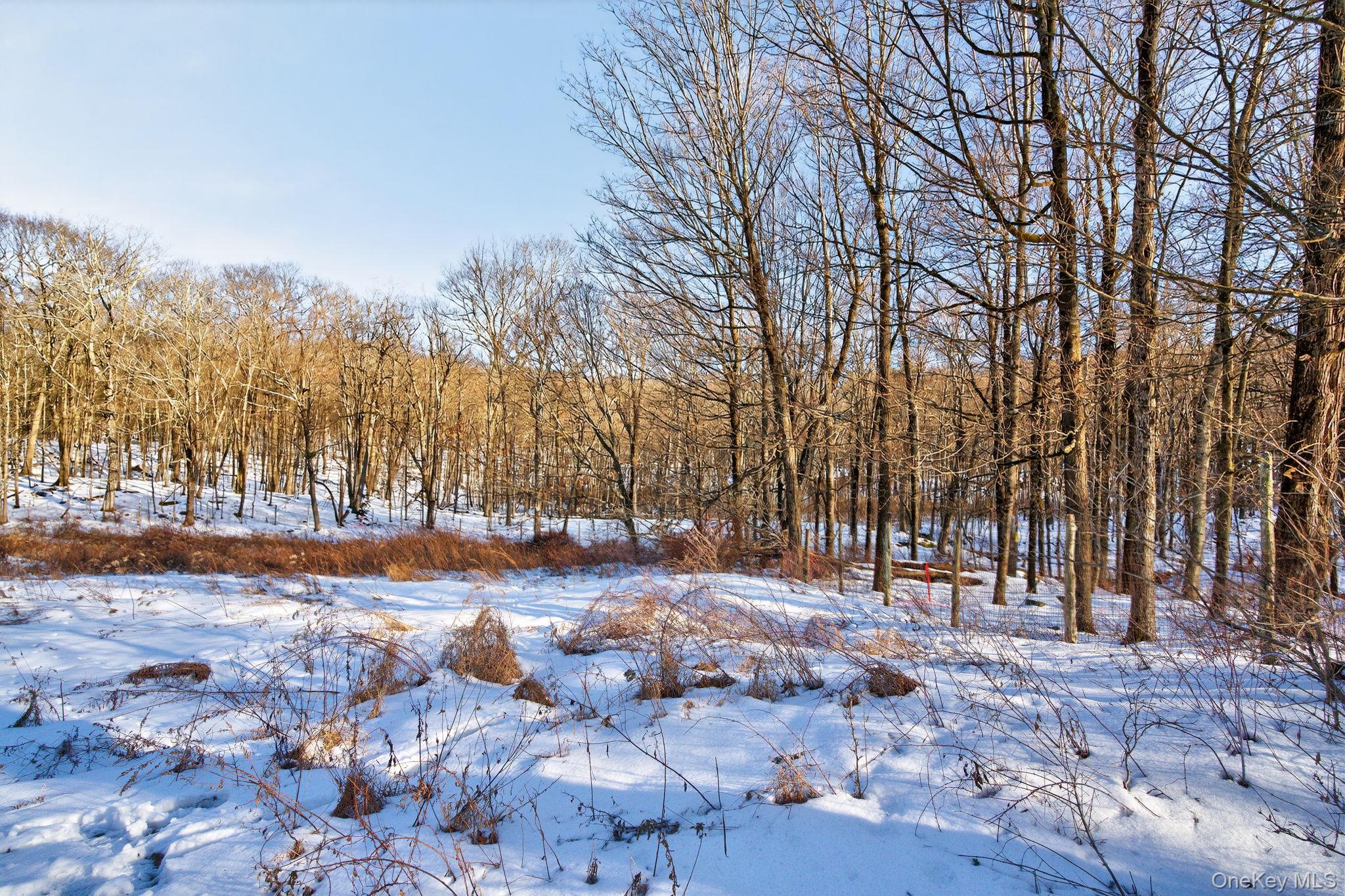 Tbd Hicks Hill Road Hurley, NY 12401 - Photo 13 of 28 a view of a yard with large trees