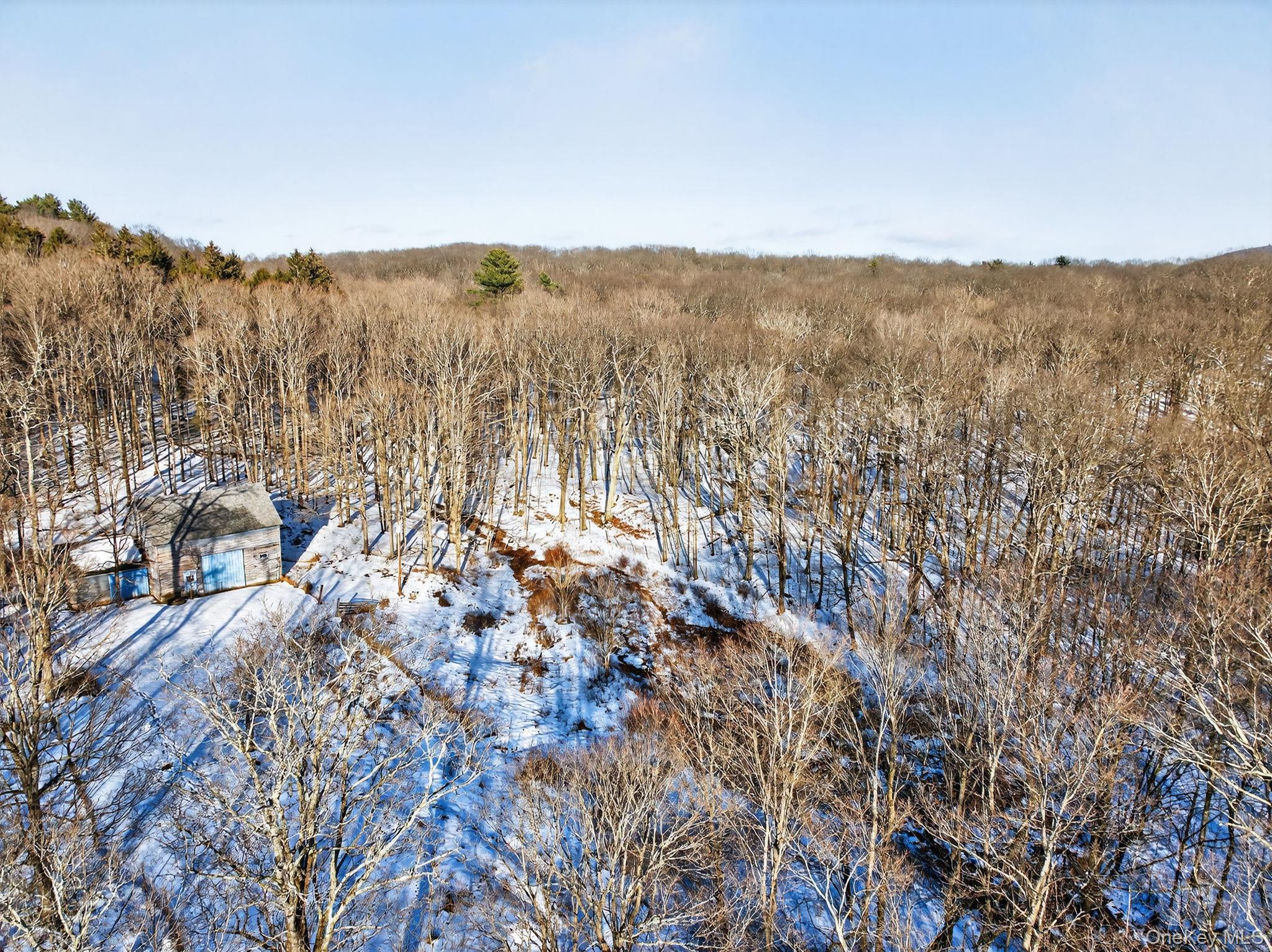 Tbd Hicks Hill Road Hurley, NY 12401 - Photo 14 of 28 a view of mountain view with lots of trees