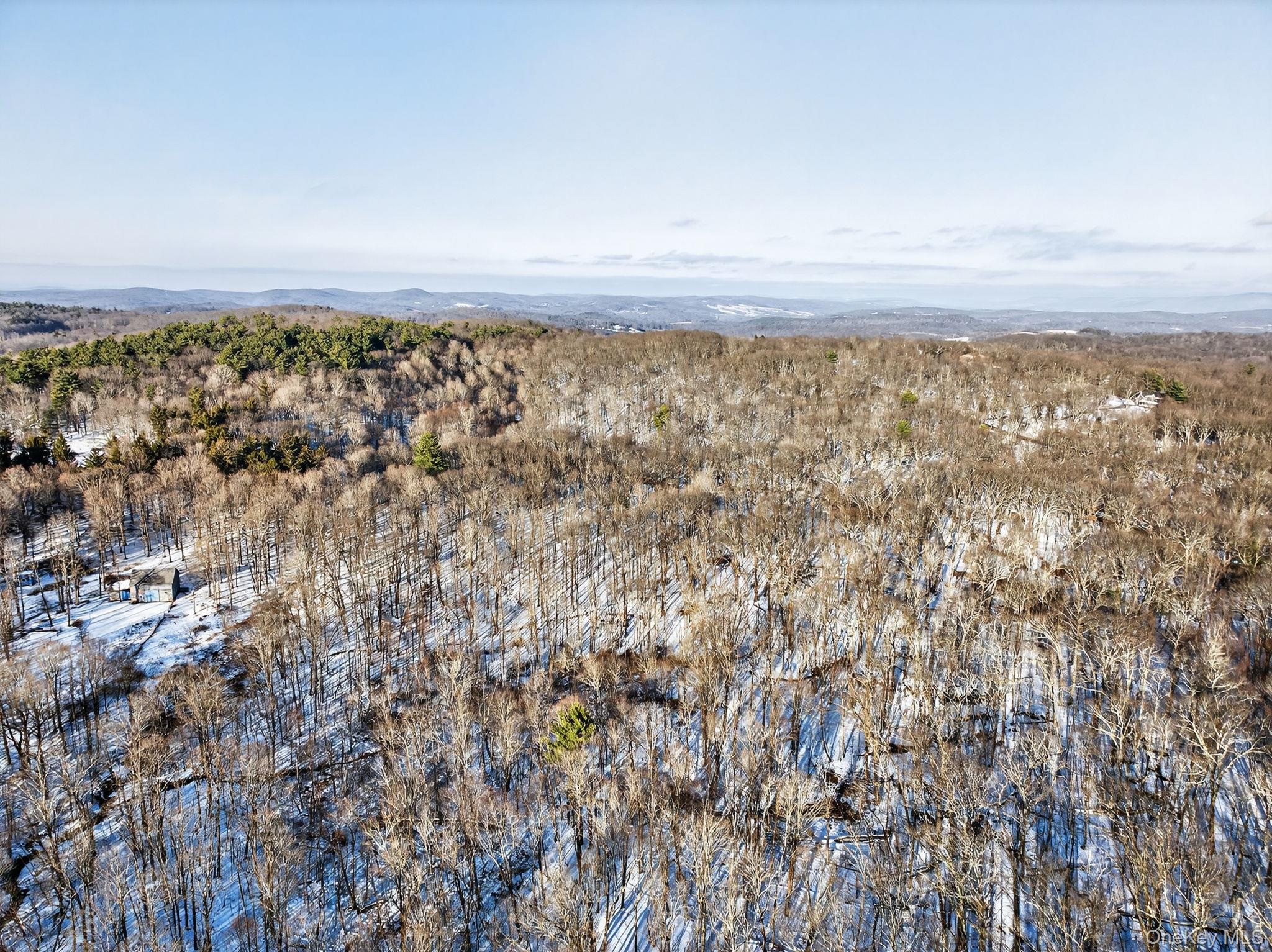 Tbd Hicks Hill Road Hurley, NY 12401 - Photo 17 of 28