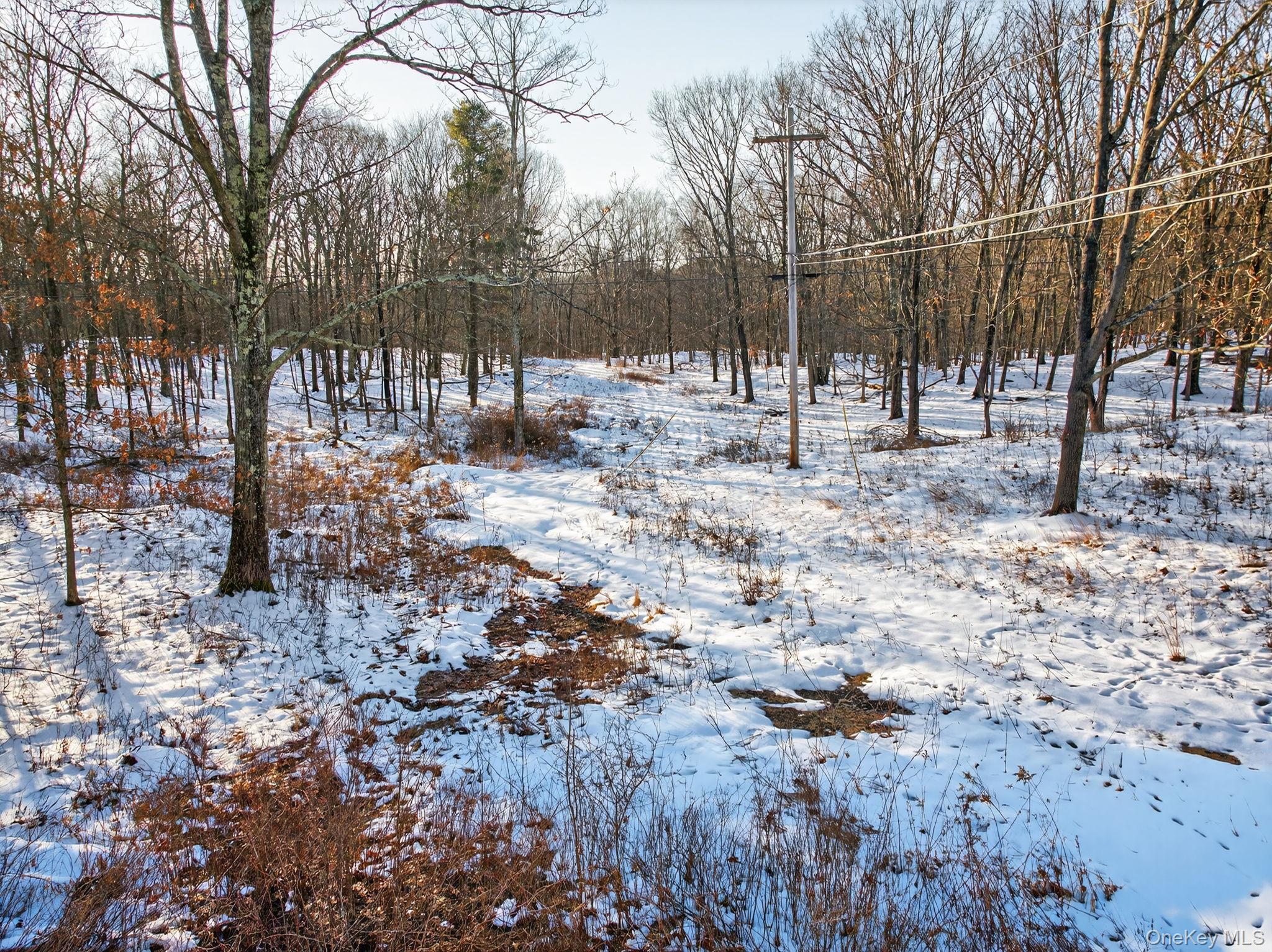 Tbd Hicks Hill Road Hurley, NY 12401 - Photo 25 of 28 a view of yard covered with snow and trees