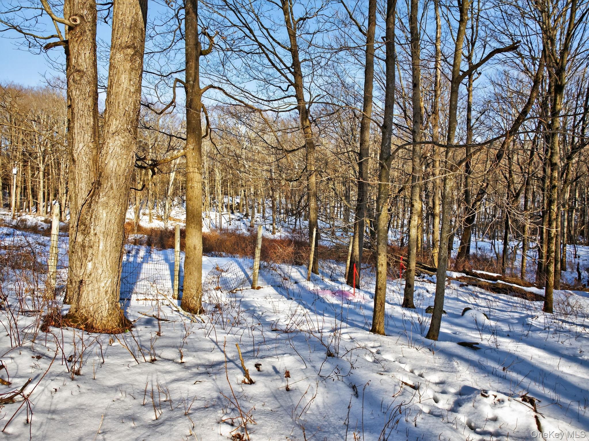 Tbd Hicks Hill Road Hurley, NY 12401 - Photo 9 of 28 a view of yard