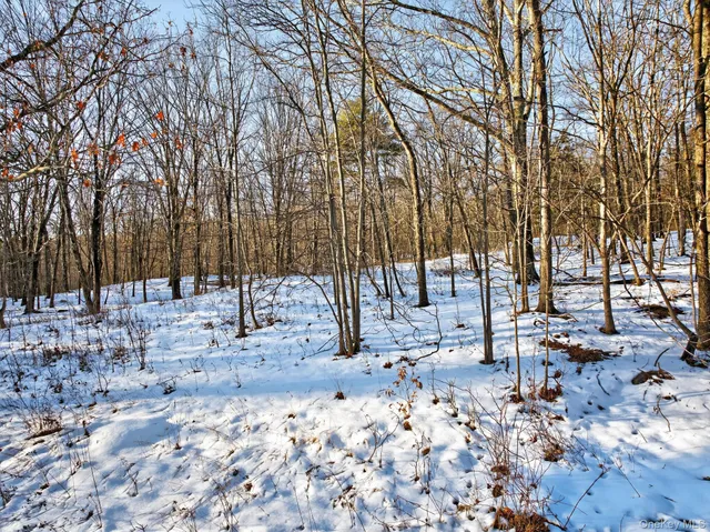 $549,000 | Tbd Hicks Hill Road, Hurley, NY 12401