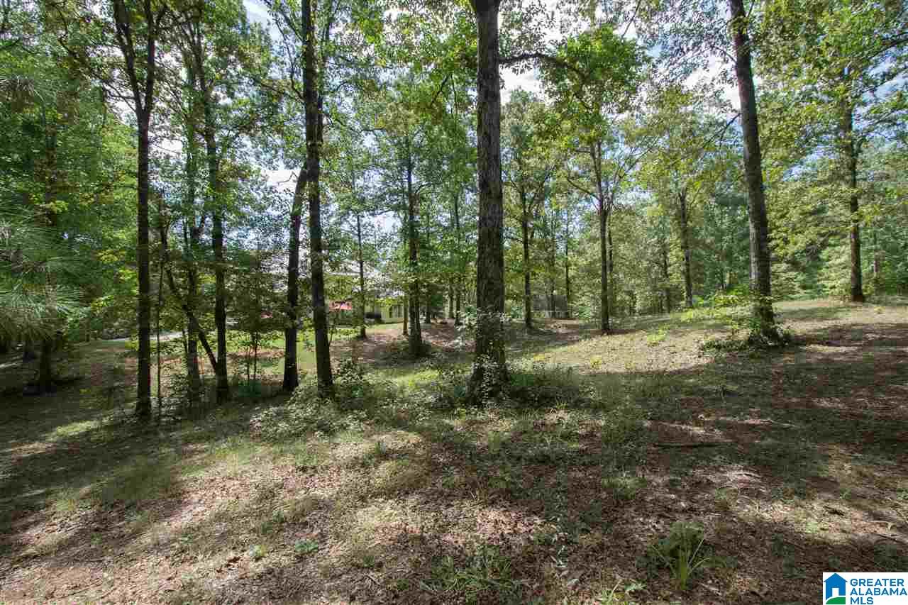 674 Griffin Road Chelsea, AL 35043 - Photo 45 of 50