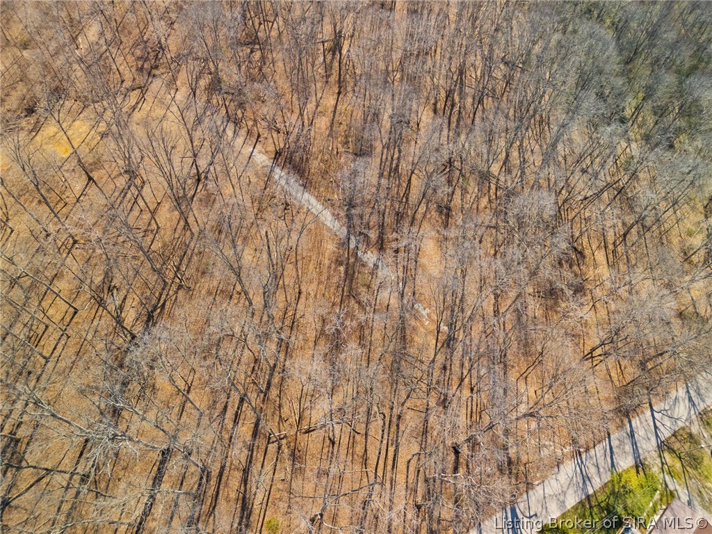 6-ac Pedora School Road Eckerty, IN 47116 - Photo 20 of 31