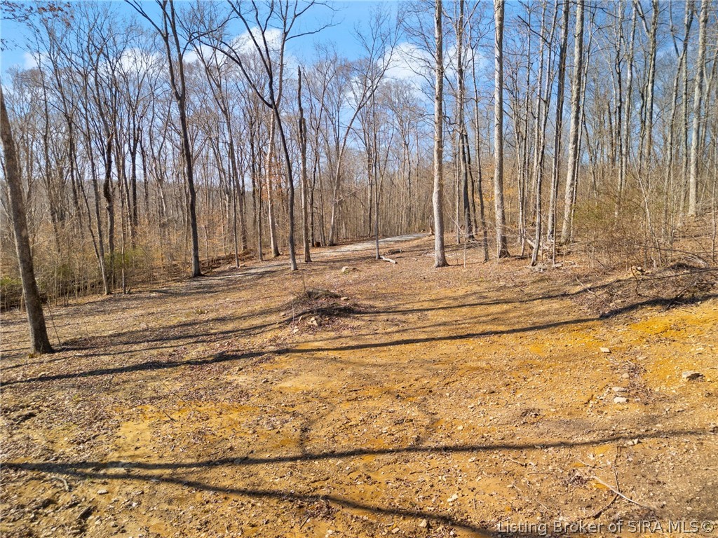 6-ac Pedora School Road Eckerty, IN 47116 - Photo 24 of 31