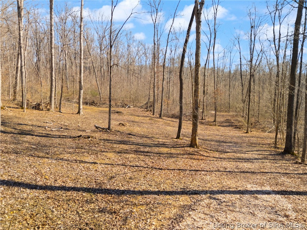 6-ac Pedora School Road Eckerty, IN 47116 - Photo 30 of 31