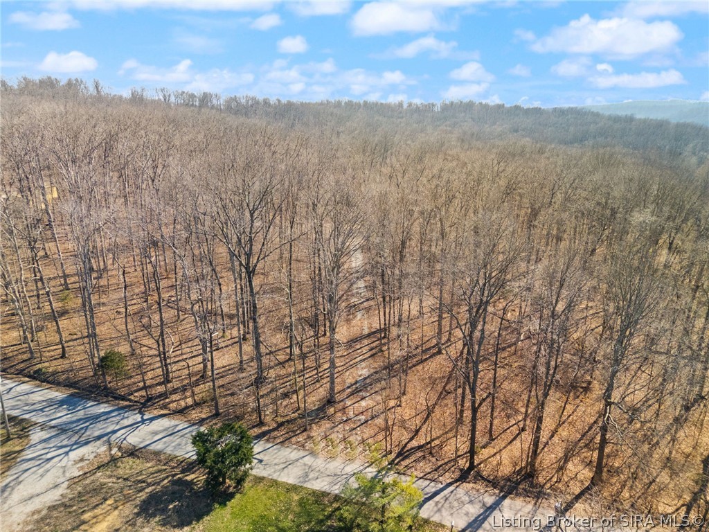 6-ac Pedora School Road Eckerty, IN 47116 - Photo 7 of 31