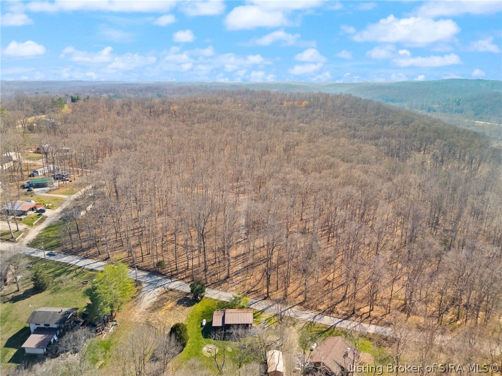 6-ac Pedora School Road Eckerty, IN 47116 - Photo 8 of 31