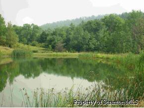 0 Jacobs Ladder Road Starrucca, PA 18462 - Photo 7 of 8 Gallery Image 7