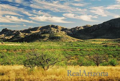 31 Poorwill Canyon Road Rio Rico, AZ 85648 - Photo 1 of 10 a view of an ocean from a yard