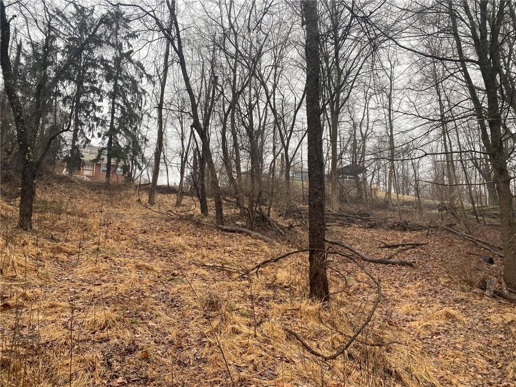 - Old Ramsey Road Monroeville, PA 15146 - Photo 2 of 8 View from mid lot toward Old Ramsey Road