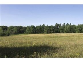 0 Cabot Road Woodbury, VT 05681 - Photo 3 of 3 Gallery Image 3