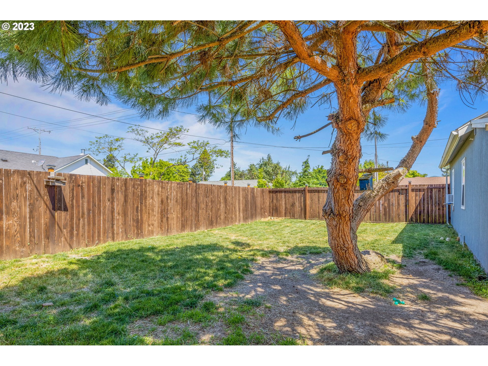 2065 G Street Springfield, OR 97477 - Photo 27 of 37 a view of a backyard with plants