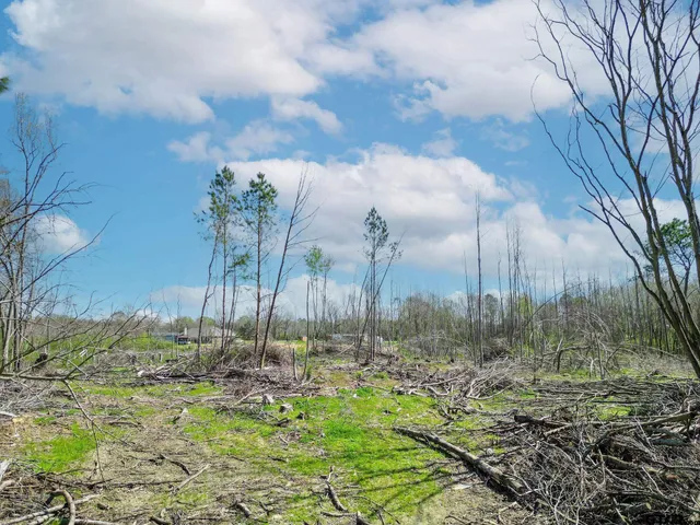 $75,000 | 4955 Tbd County Road, Pittsburg, TX 75686