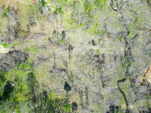 $75,000 | 4955 Tbd County Road, Pittsburg, TX 75686