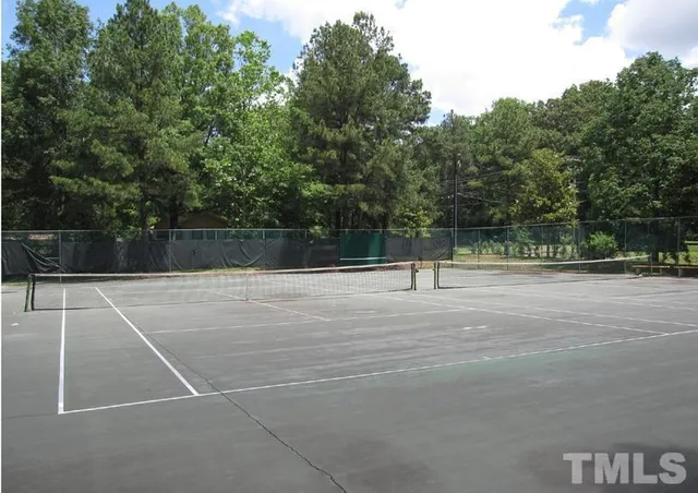 a view of backyard with green space