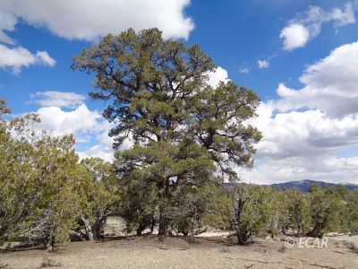 S27 T38n R67e Montello, NV 89830 - Photo 1 of 9