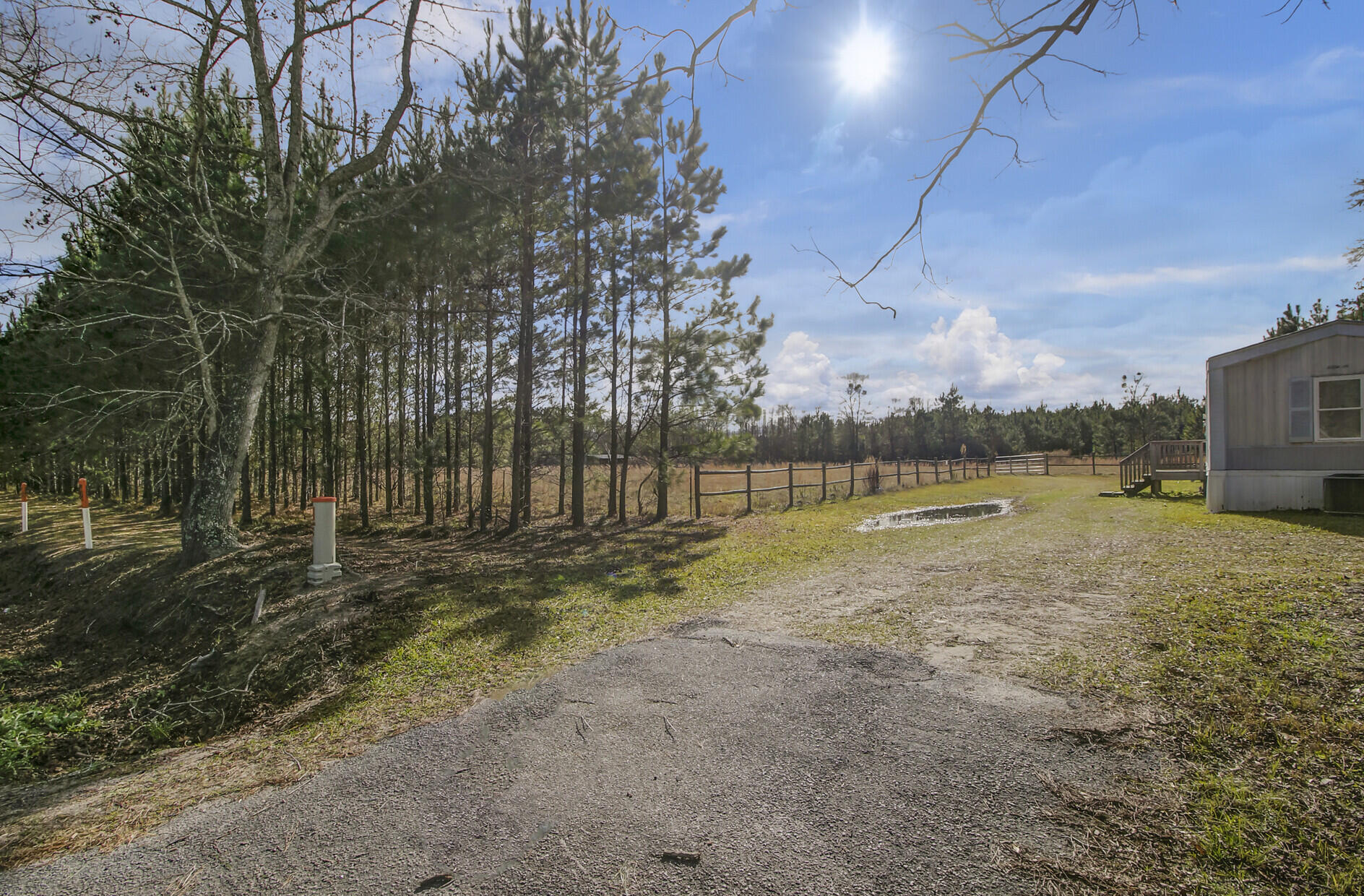 2971 Mill Pond Road Ruffin, SC 29475 - Photo 17 of 48 60_1 (1)_mls