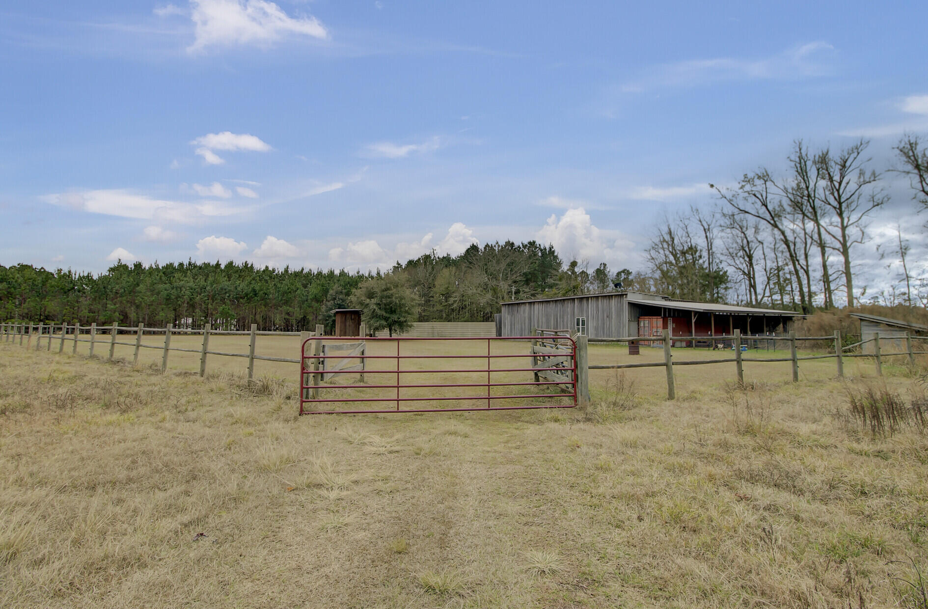 2971 Mill Pond Road Ruffin, SC 29475 - Photo 22 of 48 29_31_mls