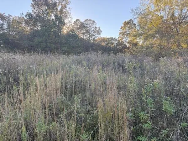 $89,900 | 0 Mitchner Road, Dearing, GA 30808