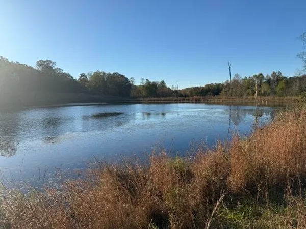 $89,900 | 0 Mitchner Road, Dearing, GA 30808
