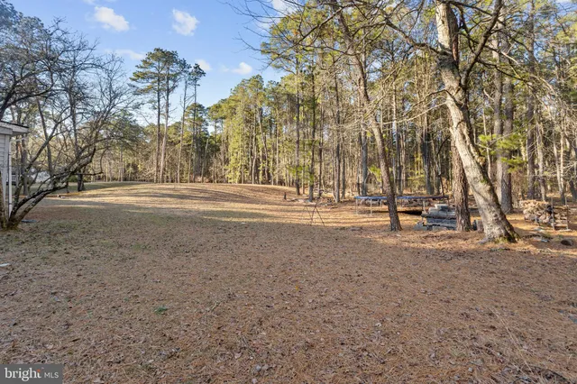 a view of road with large trees