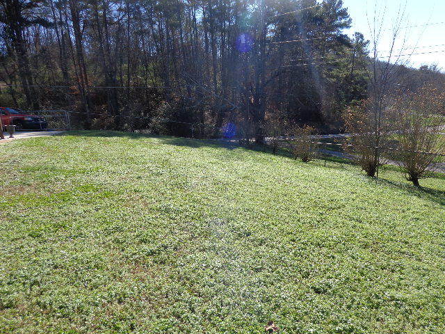 5601 Cold Springs Road Hixson, TN 37343 - Photo 8 of 39 5601 lot