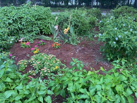 889 Stokes Road Walterboro, SC 29488 - Photo 20 of 92 18875