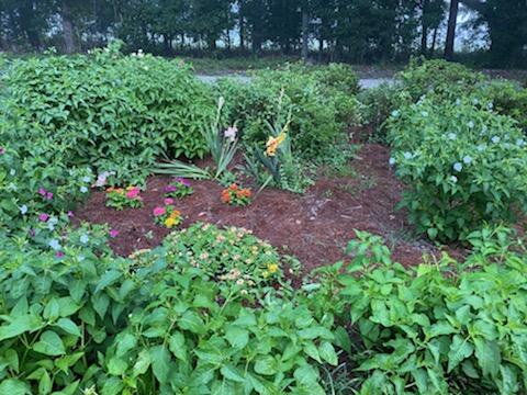 889 Stokes Road Walterboro, SC 29488 - Photo 22 of 92 18876