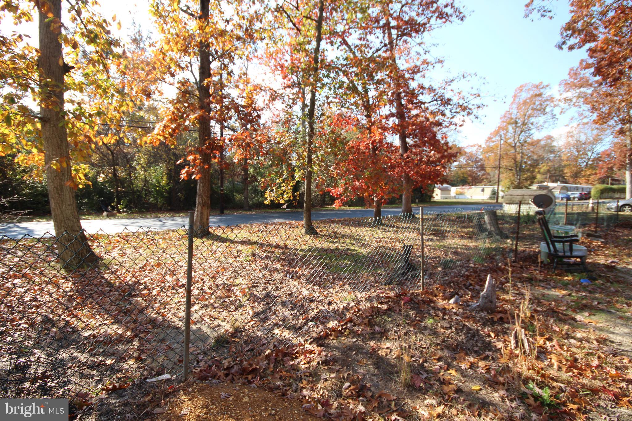 459 Mistle Road Millville, NJ 08332 - Photo 17 of 24 a view of empty yard with trees