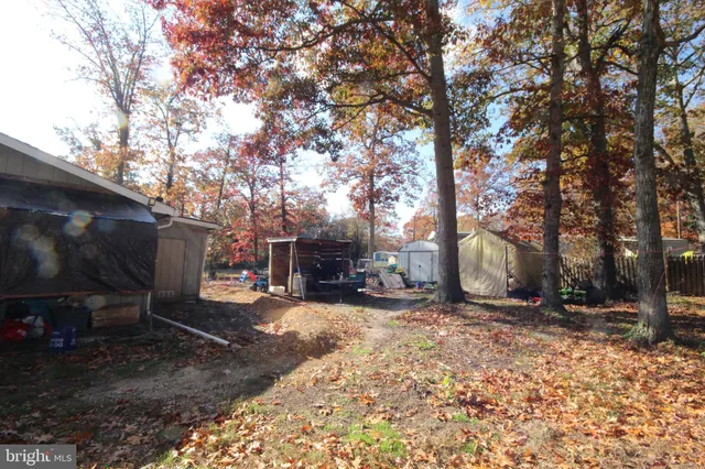 a backyard of a house with large trees