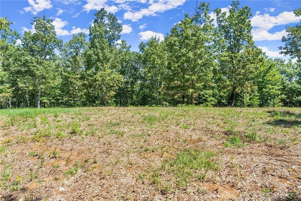 0 Helton Road Cleveland, GA 30528 - Photo 26 of 79 Gallery Image 26