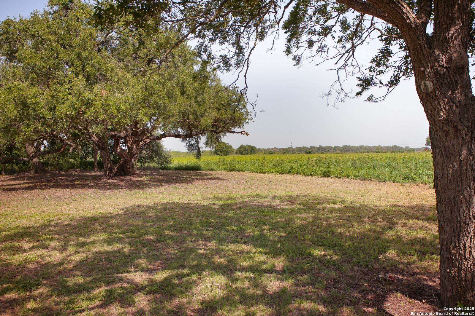 4901 Lower Seguin Road Cibolo, TX 78108 - Photo 12 of 41 a view of lake view