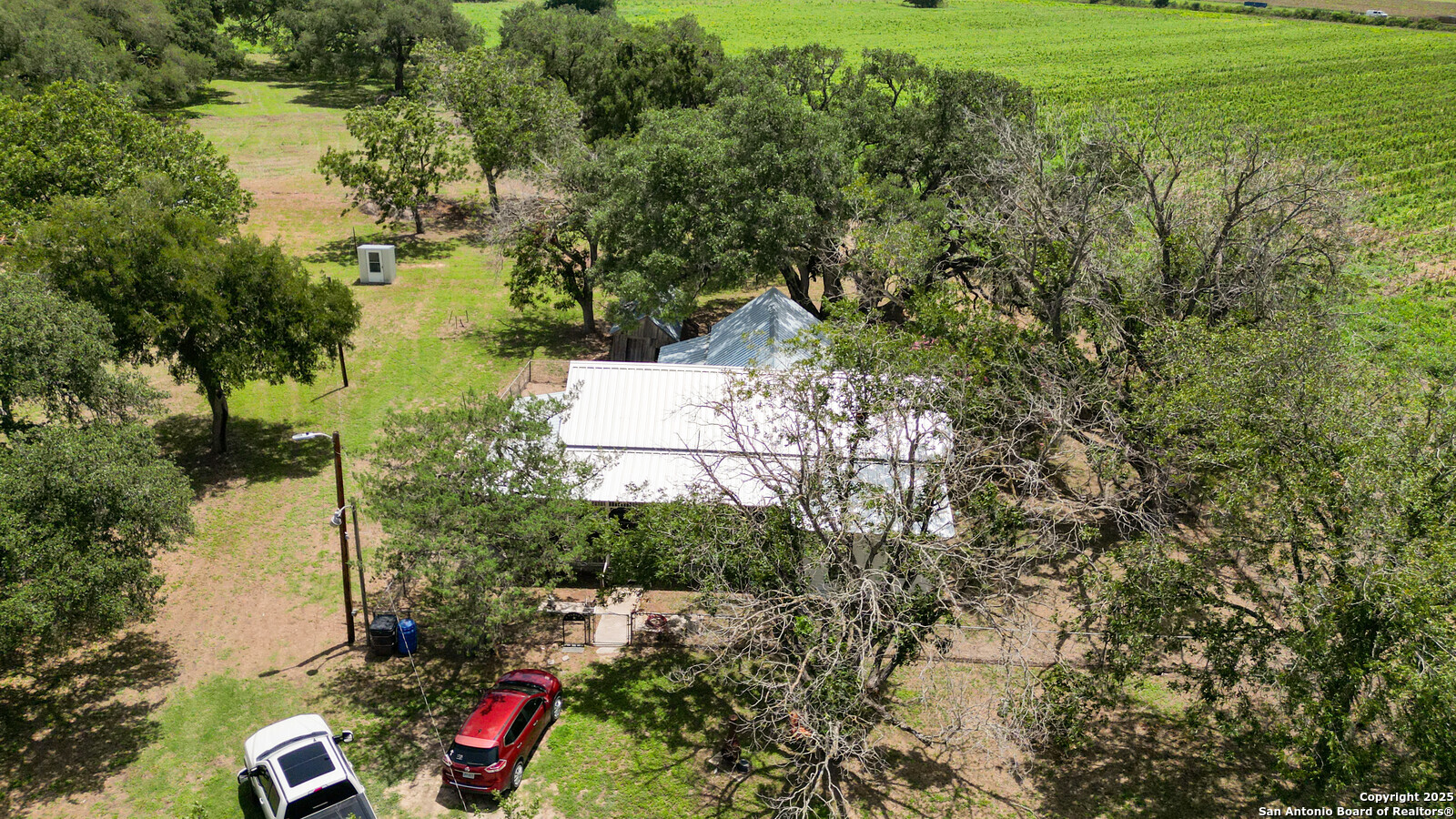 4901 Lower Seguin Road Cibolo, TX 78108 - Photo 29 of 41 a view of a yard with plants and large trees
