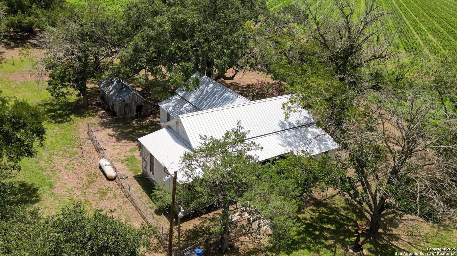 4901 Lower Seguin Road Cibolo, TX 78108 - Photo 32 of 41 a view of a yard with plants