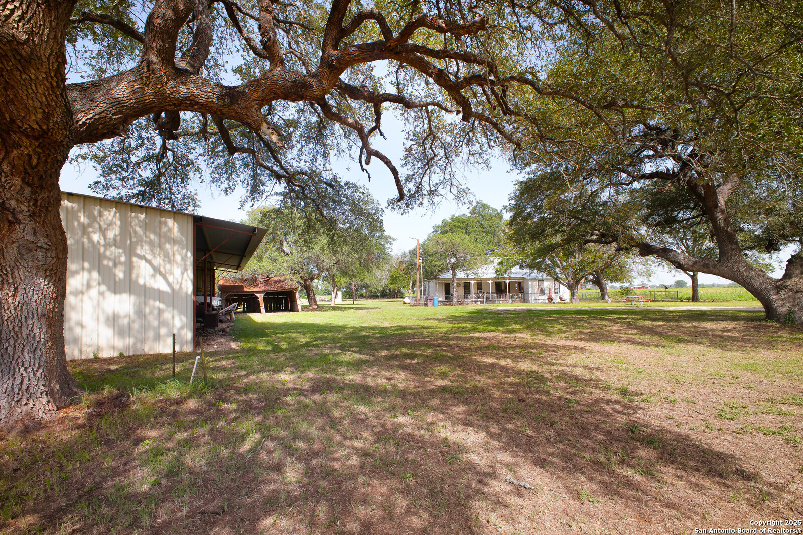 4901 Lower Seguin Road Cibolo, TX 78108 - Photo 6 of 41 a view of a house with a yard