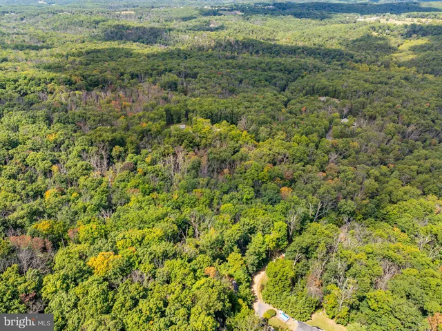 a view of a bunch of trees in a field