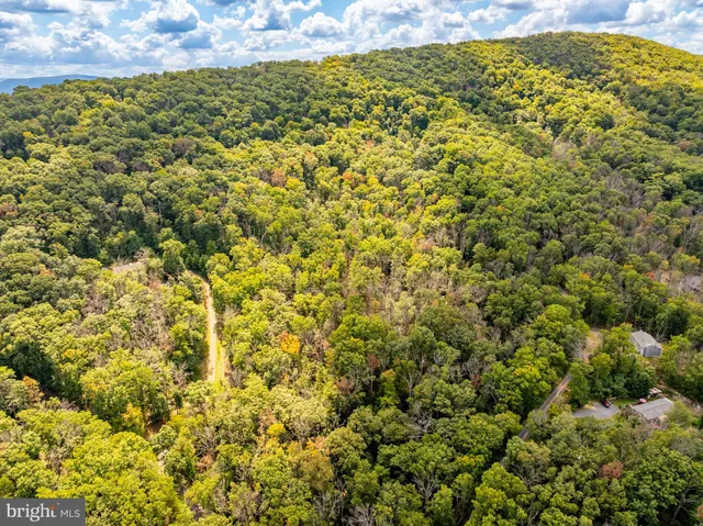 a view of a large yard with lots of bushes