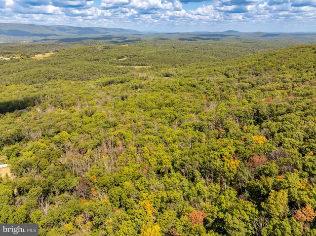a view of an ocean from a yard