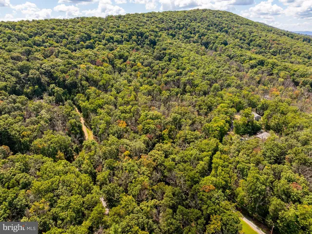 a view of a large yard with lots of bushes