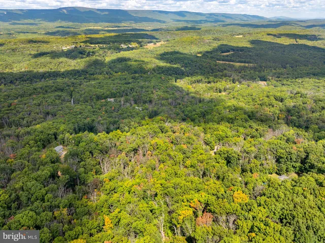 a view of an ocean from a yard