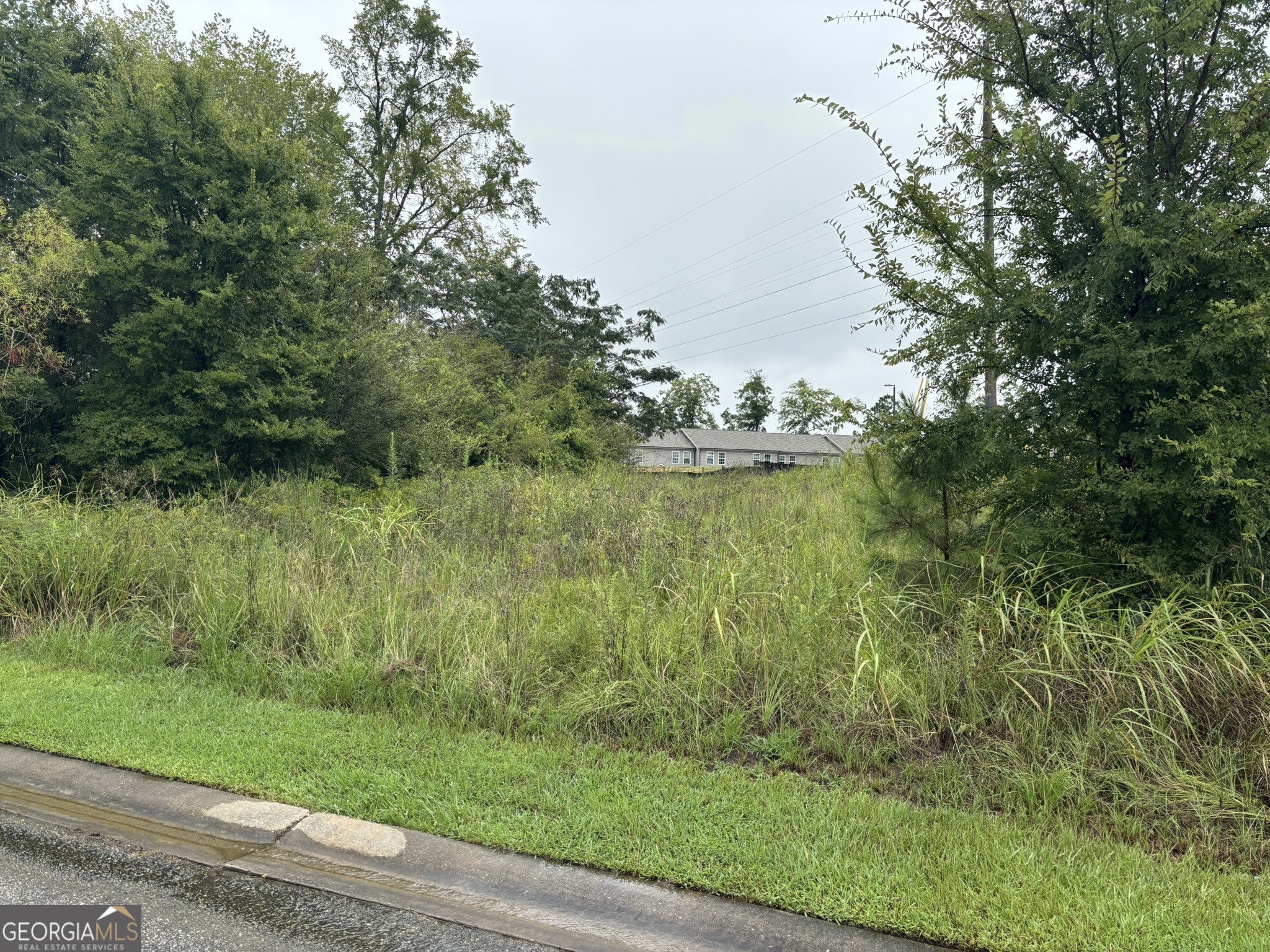 130 Mill Way Milledgeville, GA 31061 - Photo 2 of 3 a view of a garden with a lake