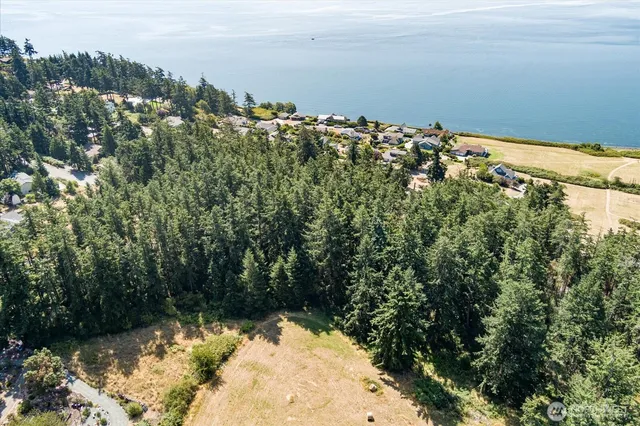 a view of a lake with a building in the background