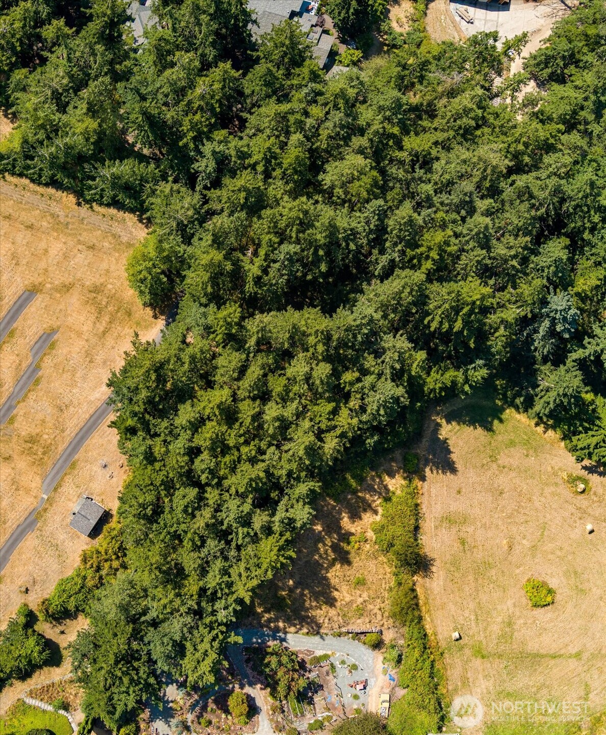 0 Old Polnell Road Oak Harbor, WA 98277 - Photo 7 of 10 a view of a forest with a tree
