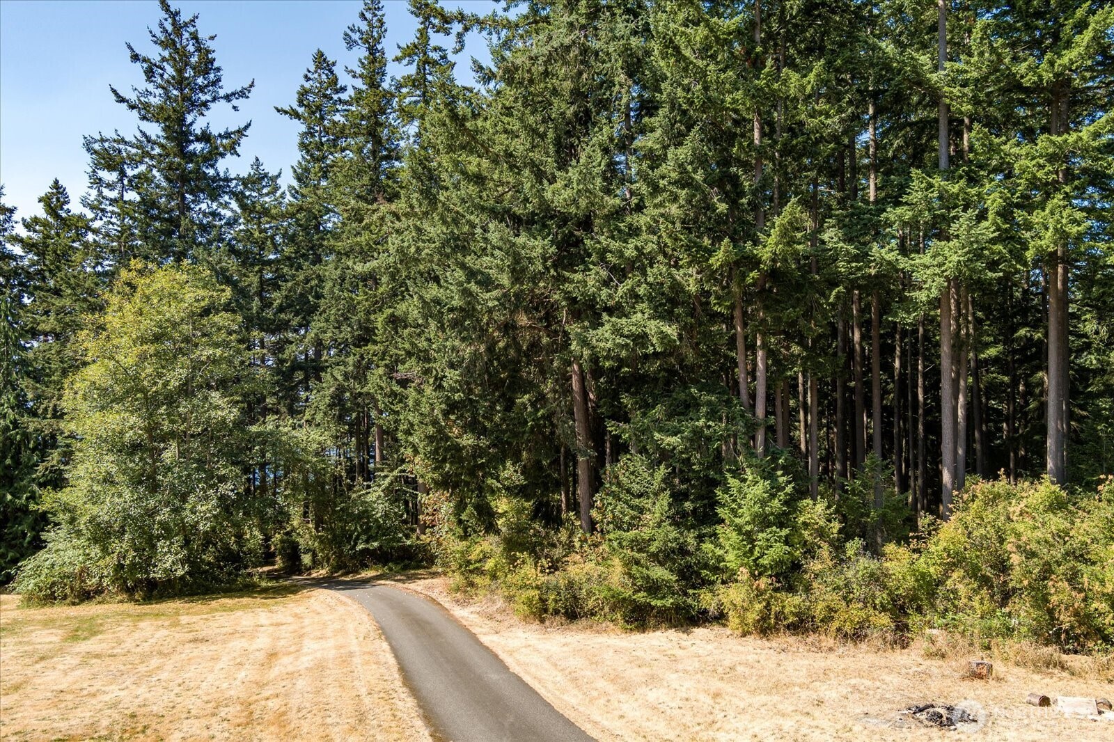 0 Old Polnell Road Oak Harbor, WA 98277 - Photo 8 of 10 a view of outdoor space and garden