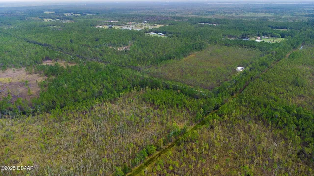 a view of a lush green space