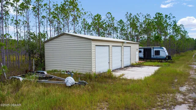 a view of a backyard with a large tree