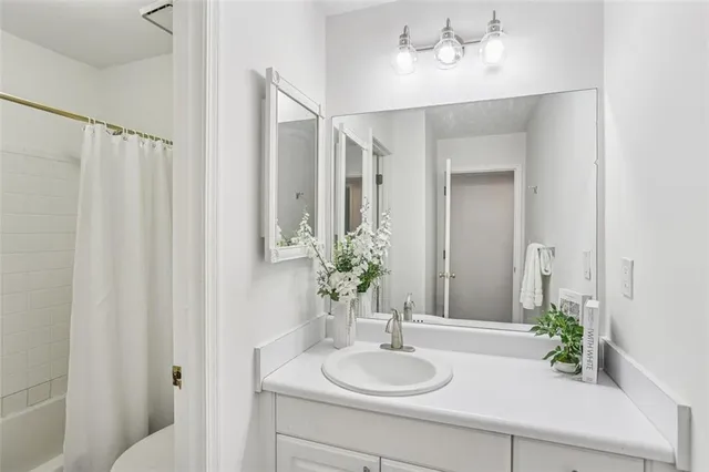 a bathroom with a sink a mirror and a potted plant