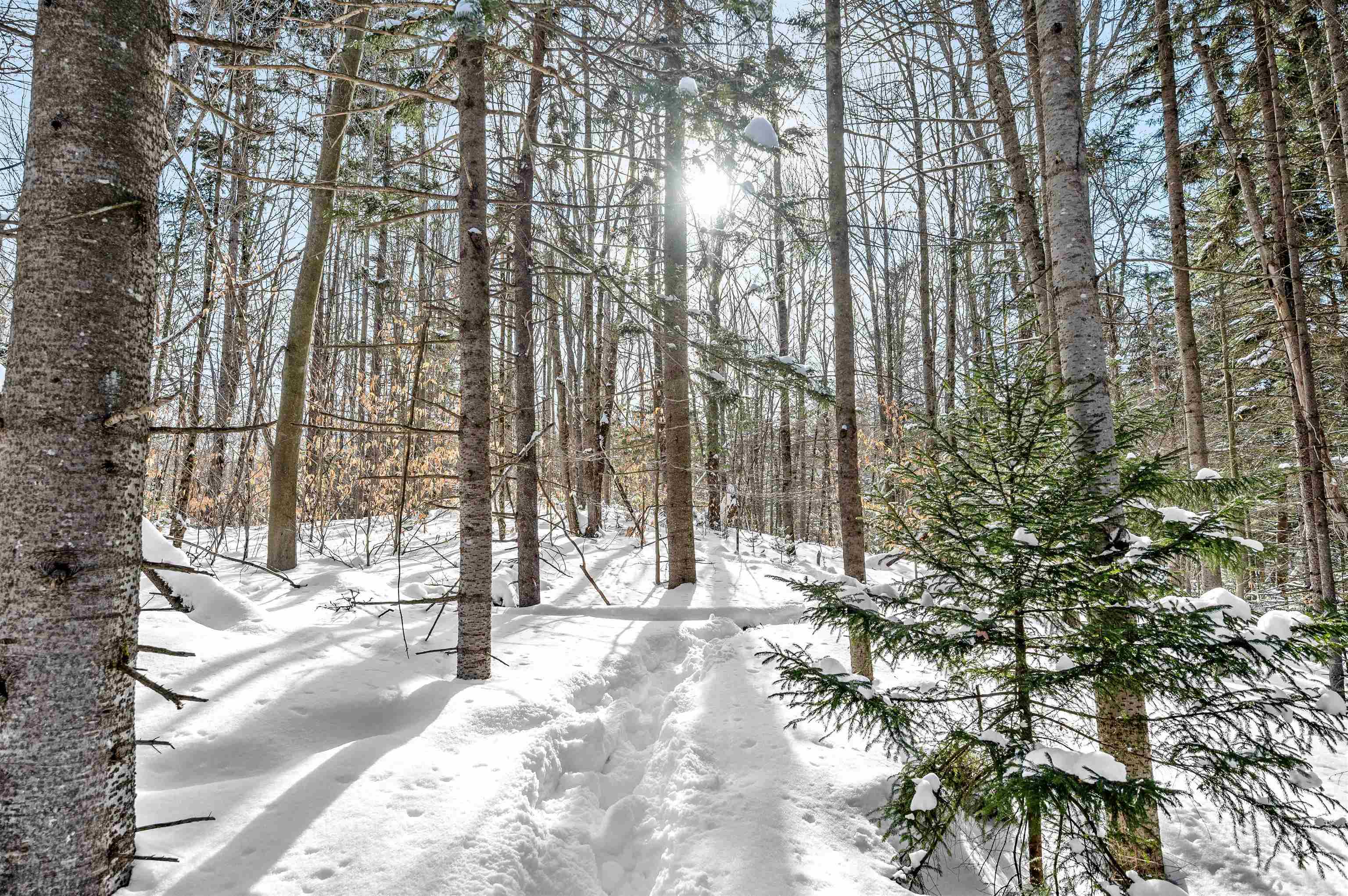 1984 West Hill Road, Unit 2 Warren, VT 05674 - Photo 11 of 22